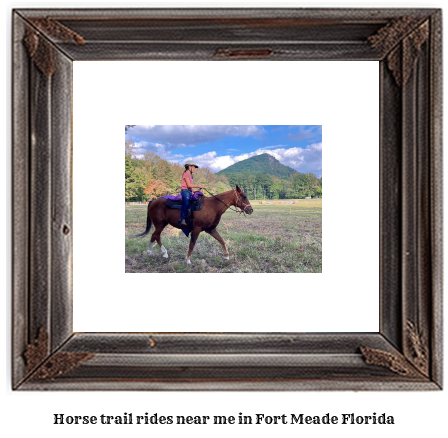 horse trail rides near me in Fort Meade, Florida